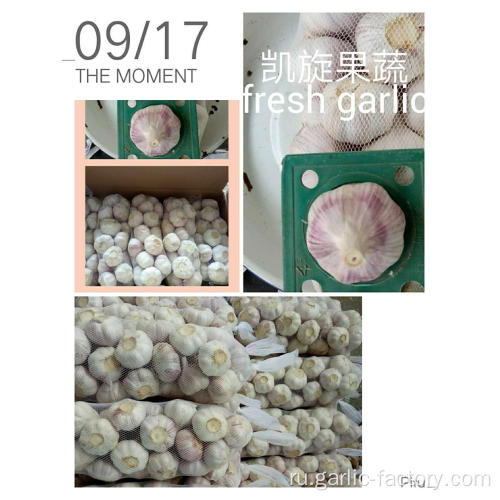 SUPER GARLIC 250G мешочек популир